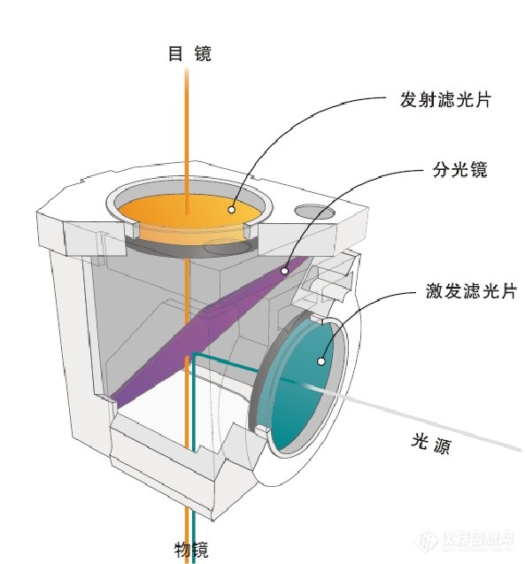 熒光顯微鏡常規光學元件應用圖 熒光顯微鏡常規光學元件應用圖